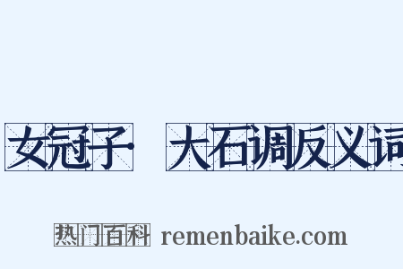 女冠子·大石调反义词是什么意思的图片